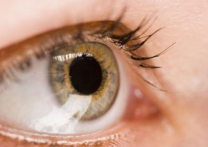 Benefits of an Eye Exam in Dearborn