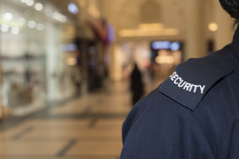 Security Officer in Reno, NV: Safeguarding Your Business and Property